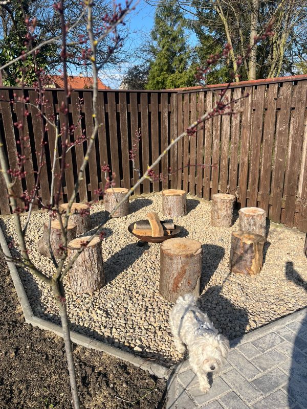 WhatsApp Image 2026-03-22 at 16.33.42 (2)